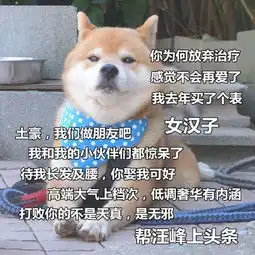 元宵节的搞笑语录,句句经典,有的让人忍不住笑喷了,发朋友圈去
