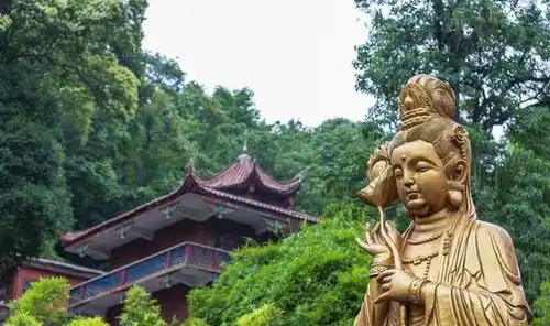 5块钱的门票可以看到大熊猫的公园,国内应该再也找不出第二个了
