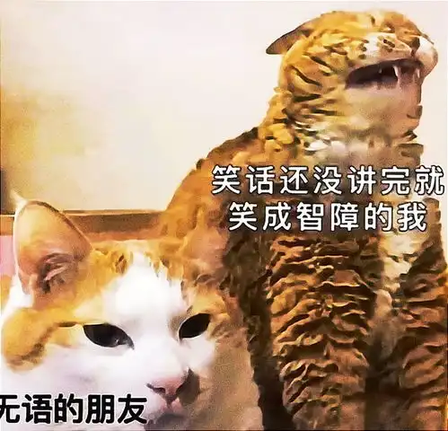 搞笑趣图我的大脑在记录尴尬的回忆时vs我的大脑在记录快乐的回忆时
