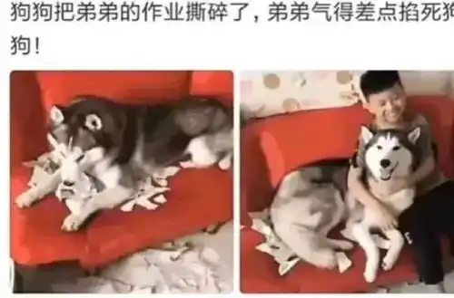 轻松一刻成年人的世界,没有容易二字
