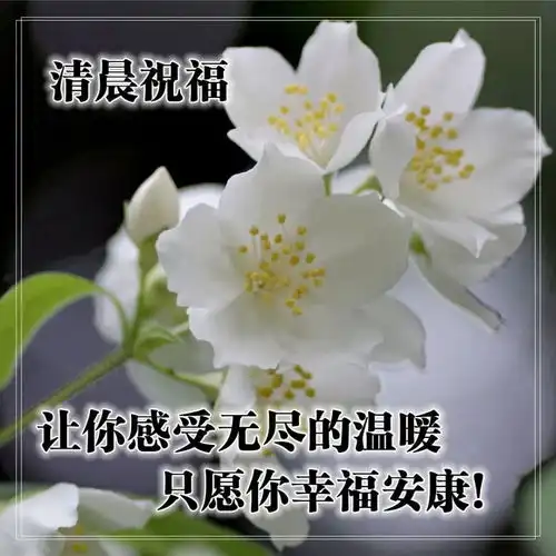 10月24日最漂亮的早上好祝福语图片温馨清晨群发短语暧心问候动图
