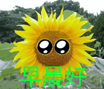 早上好图片大全,早上好动态表情精选

