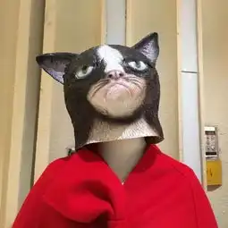 头像丨你是近处的烟火也是遥远的星河
