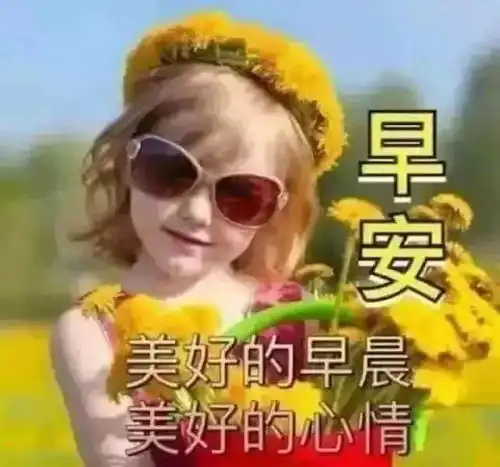 朋友圈说到心坎里的经典哲理句子早安问候正能量
