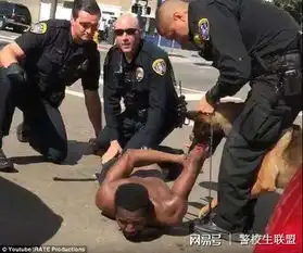 警花课堂出国,你必须知道的美国警察执法用语
