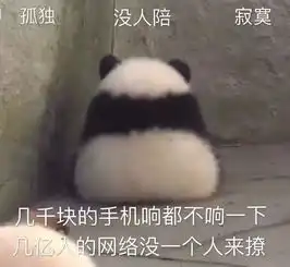 招新学习调研部用最真挚的感情述说最好的学调

