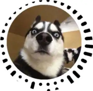 爆笑二哈
