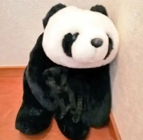 今天终于到你结婚了,当年我们结婚的时候你可是最开心的,现在轮到我们了

