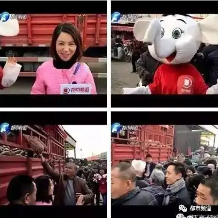 哪个才是真正的都市君
