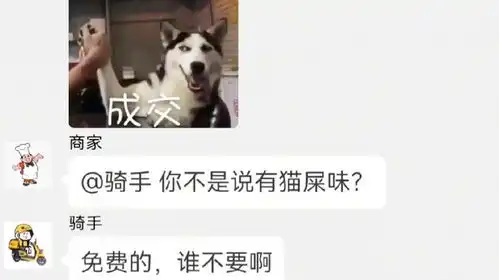 所以骑手自作多情了聊天记录搞笑神对话奇葩外卖
