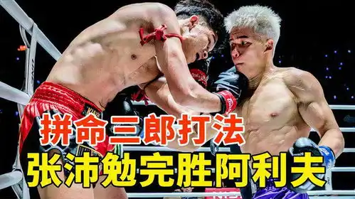 拼命三郎打法,张沛勉完胜ko狂魔,张沛勉vs阿利夫
