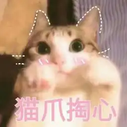 2018qq带字头像可爱猫咪呆萌搞笑梦里不知身是客一晌贪欢
