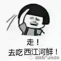 西江开启生鲜模式满满河鲜吃个够
