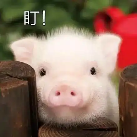 搞笑段子看看这个唐僧师徒取经的网络段子,哈哈,太逗了
