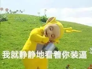 追这样的星,上这样的大学
