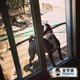 卧槽,进不去了搞笑图片

