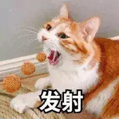 秋季饮食调理护肠胃,捍胃健康秋
