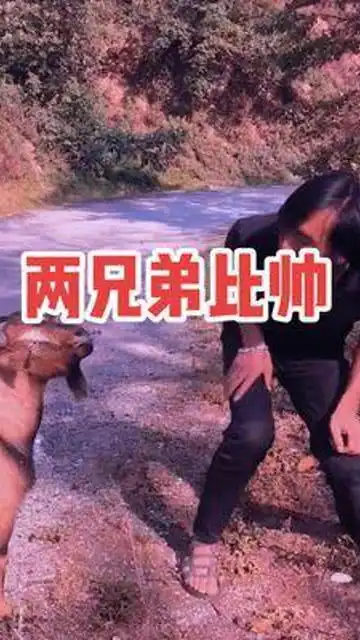 搞笑模仿
