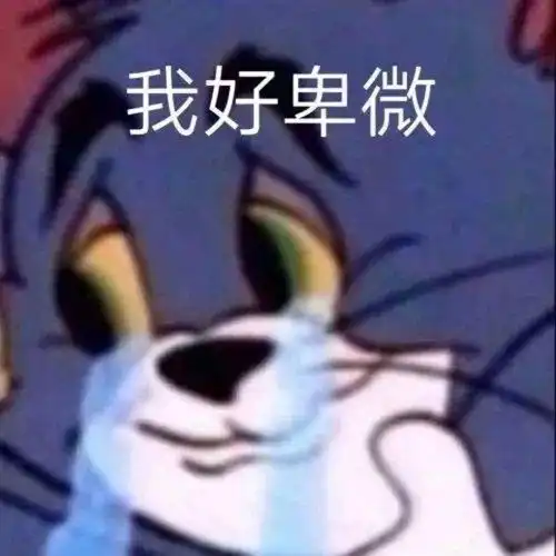 有了这件神器,赶走家里的搅屎棍钛空好物推荐
