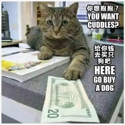 幽默搞笑段子集最励志图片一只狗在遛它自己哈哈哈哈哈哈哈
