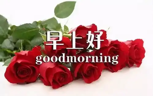 早晨问安真正的祝福情真意切韵味悠长,祝你新的一天愉快,早安
