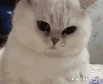 可怜的爸妈,我该拿什么拯救你们
