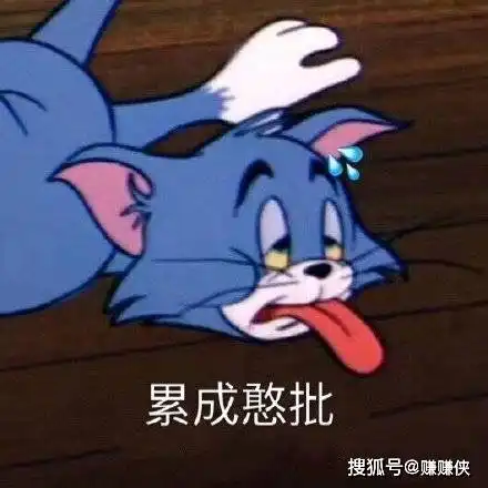 搞笑表情包大全一组看了就莫名其妙傻笑的图片
