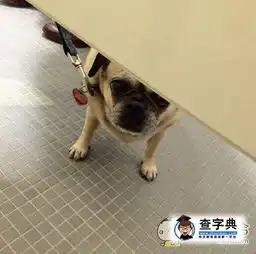 这塔码就尴尬了搞笑图片
