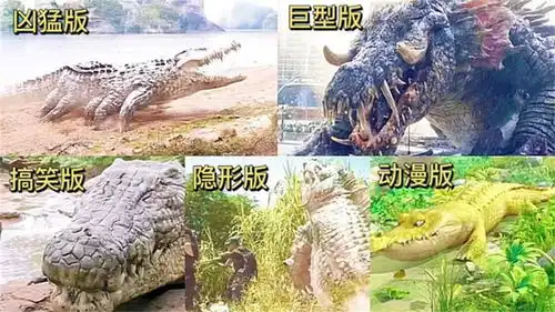 盘点这五版鳄鱼,你觉得哪个更凶猛搞笑版鳄鱼有点凶又奇葩
