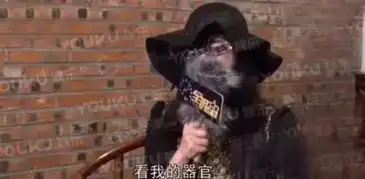 同样是裸聊,赵四儿和陈冠希到底差在哪里
