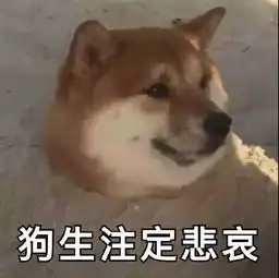 表情包让哥看看,谁在这撒野
