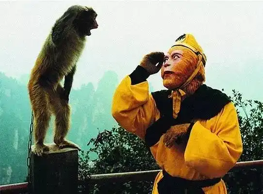 六小龄童猴子敬礼图片,美猴王图片六小龄童,六小龄童孙悟空图片第3页大山谷图库
