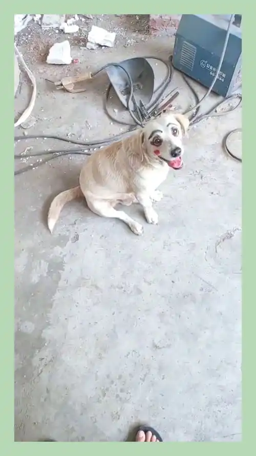 你回头的一瞬间,像极了爱情,哈哈真是太搞笑了
