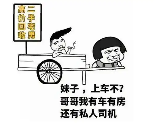 年轻人先买车还是先买房
