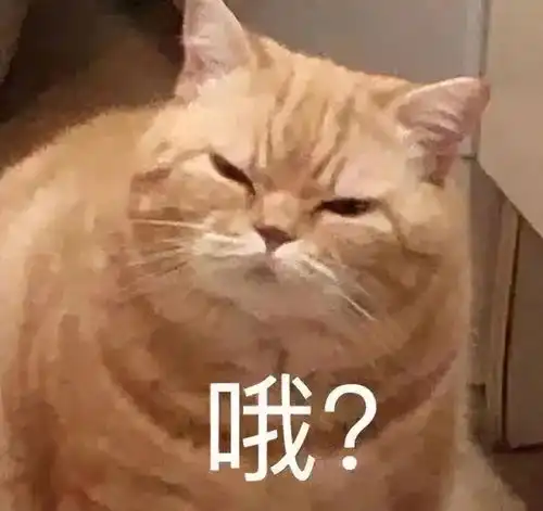 网红减肥食品黑产终于被连根拔起水这么深难怪之前死活查不出来
