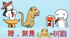 趣味冷知识科普搞笑高清正版视频在线观看
