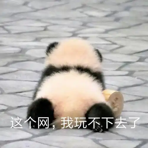 搞笑表情包更新只想做你一个人的舔狗
