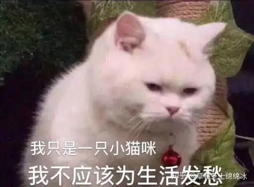 有哪些可爱的表情包
