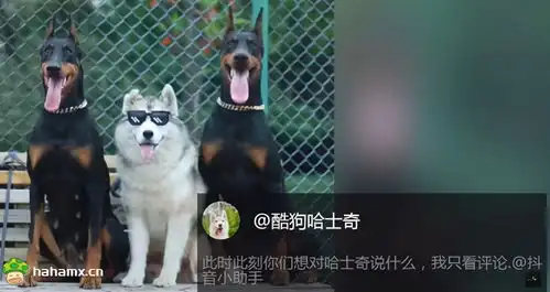 开心一笑,每日一笑,搞笑图片
