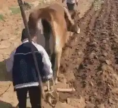 每日一笑妹子一定是特别的缘分,让你们成为了一家人吧
