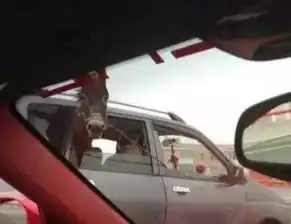 搞笑gif不要挑战本汪的心里底线,说不洗澡就不洗澡
