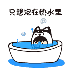 为啥天气这么冷,原来小雪姑娘到
