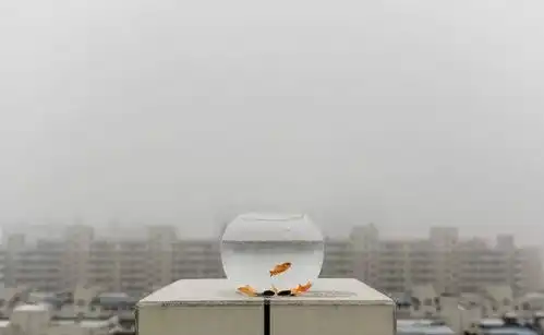 倡议书保护环境拒绝白色污染
