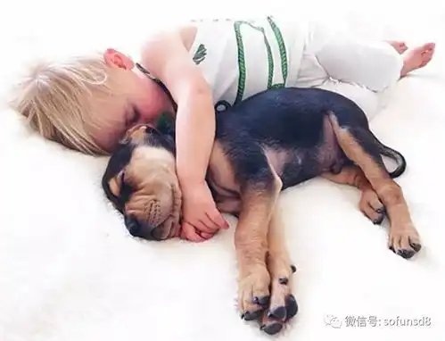七种可以帮助睡眠的产品与方式

