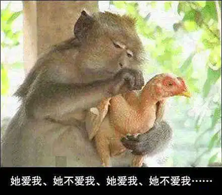一周车坛囧事板栗在手停车免费
