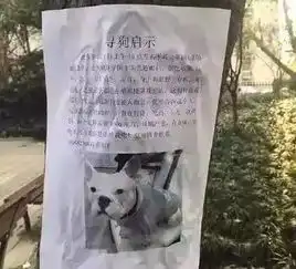 别贴了指望这些寻狗启示找回狗子,你确定不是来搞笑的吗
