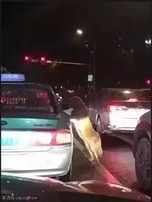 搞笑图片美女这是要冰冻火腿么
