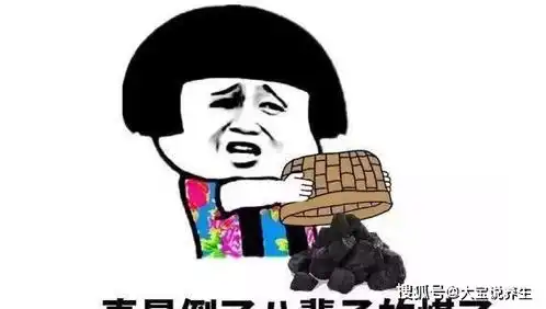 开心一笑带老丈人去钓鱼,老丈人说财产早晚都是你们的,别急
