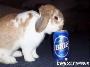 动物里最能喝酒的竟是松鼠猴子表示不服
