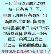 小样,你上网我就不认识你了
